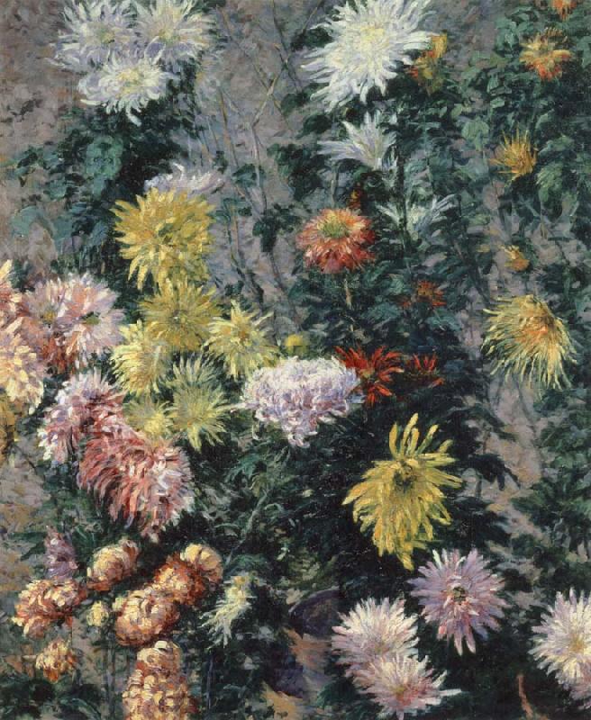 Gustave Caillebotte Chrysanthemums,Garden at Petit Gennevilliers China oil painting art